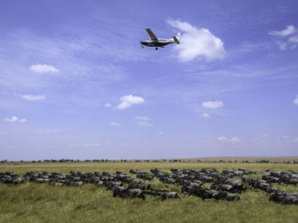 5 Days Maasai Mara – Naivasha