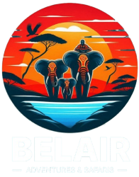 Psam Tours and Travel