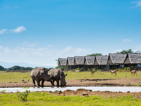 2 Days – Ol Pejeta Conservancy